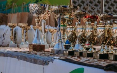 XVII  BIEG  KRAINY 3  WIEŻ NAD BORAMI  64