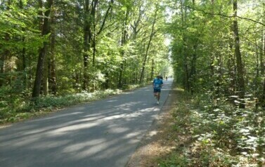 XVII BIEG KRAINY 3 WIEŻ - BIEG NA 10 KM 22
