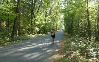 XVII BIEG KRAINY 3 WIEŻ - BIEG NA 10 KM 24