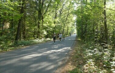 XVII BIEG KRAINY 3 WIEŻ - BIEG NA 10 KM 39