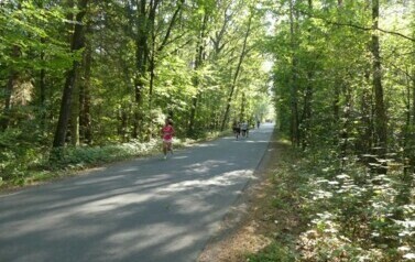 XVII BIEG KRAINY 3 WIEŻ - BIEG NA 10 KM 40