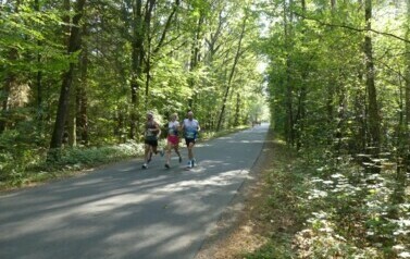 XVII BIEG KRAINY 3 WIEŻ - BIEG NA 10 KM 41